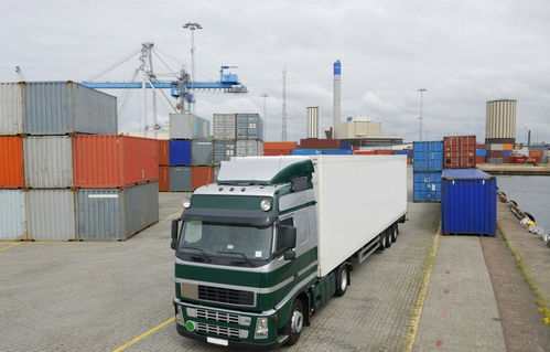 專業高效，全程可控 上海到廈門冷鏈貨運與倉儲一體化解決方案